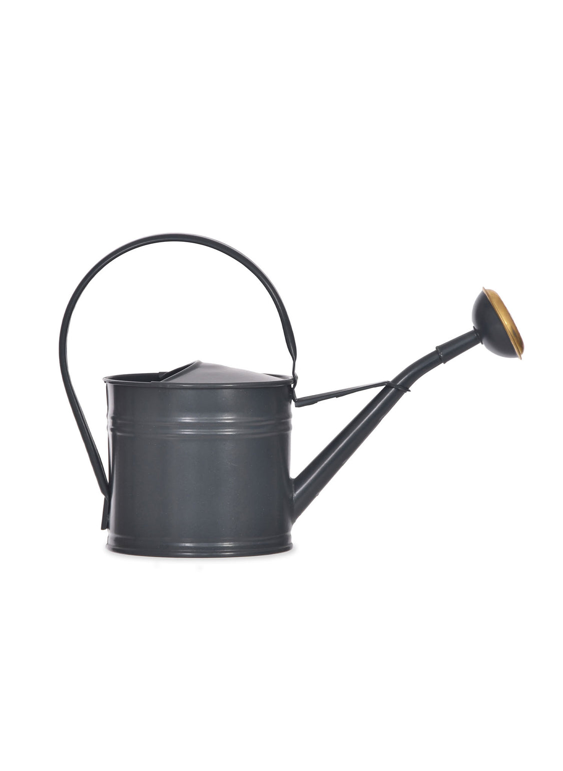 files/1.5LWateringCaninCarbon-Steel-Cutout-WCCA01.jpg